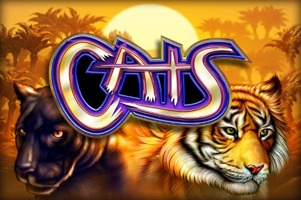 Cats at Spinformula